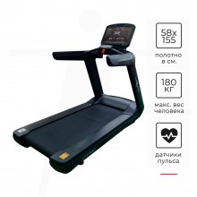 Беговая дорожка Cardio Power Pro CT300